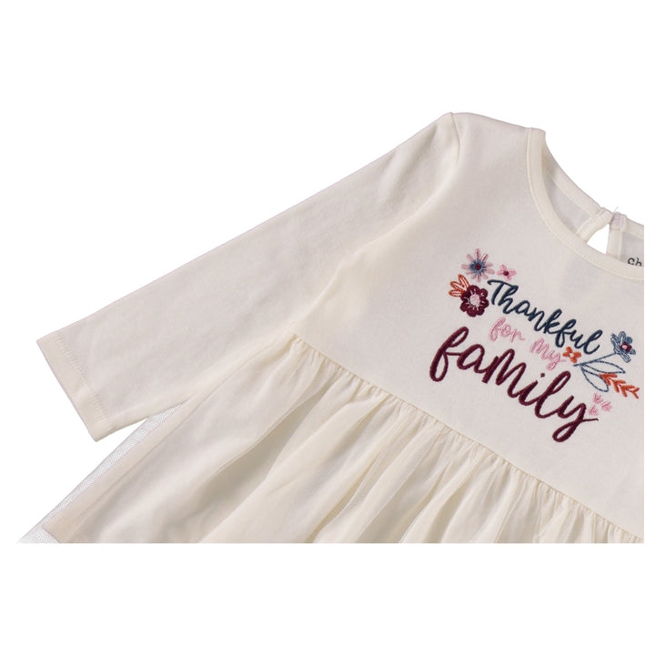 Baby-Girl-Newborn-Essentials-Onesie-Bodysuit-Clothes-Baby-Registry-Shower-Gift-Thanksgiving-dress-Image2